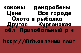 коконы    дендробены › Цена ­ 25 - Все города Охота и рыбалка » Другое   . Курганская обл.,Притобольный р-н